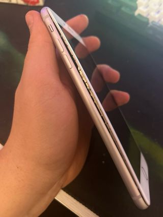 iPhone 8 e 6 Plus Bianchi
