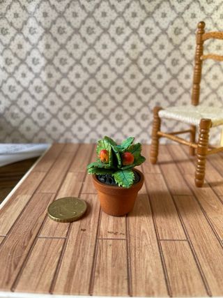 Pianta di fragole per casa delle bambole