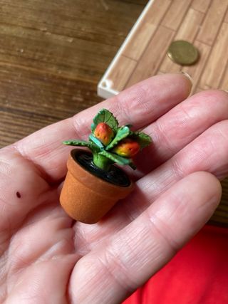 Pianta di fragole per casa delle bambole