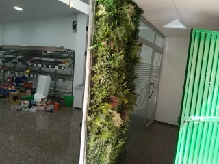 Local comercial a 10 m ayuntamiento Llíria