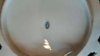 2 Pratos Decorativos Washington e Niagara