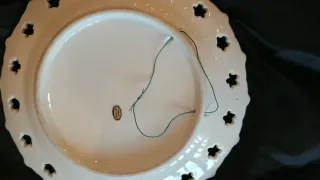 2 Pratos Decorativos Washington e Niagara