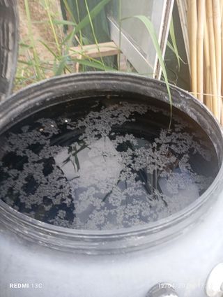 Bidón agua huerto con entrada superior