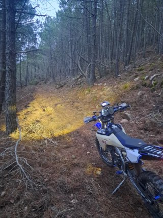 Yamaha WR450F 2016 rally