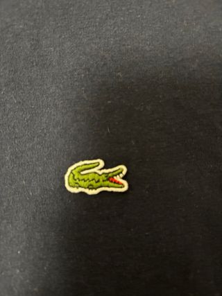 Camiseta Lacoste Azul