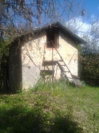 Rustico con terreno boschivo Vicoforte
