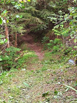 Rustico con terreno boschivo Vicoforte