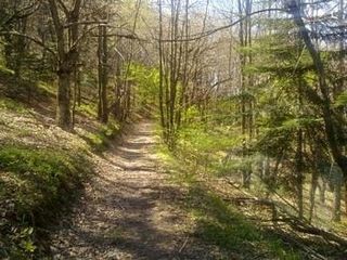 Rustico con terreno boschivo Vicoforte