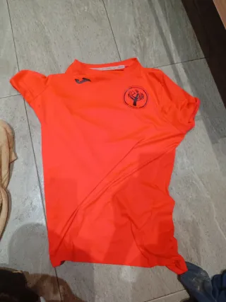 Camiseta Joma AE Alzina Naranja
