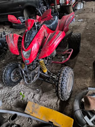 Quad