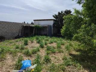 Parcela al lado de tocino
