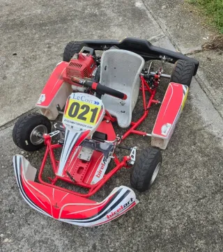 Kart Birel 50
