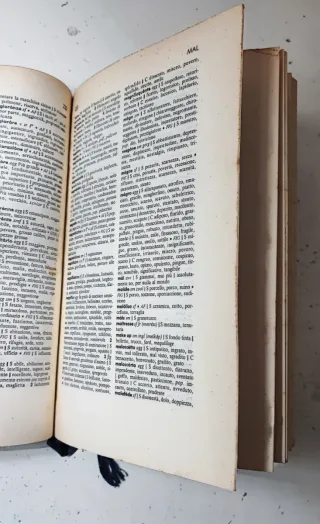 Dizionario dei sinonimi e dei contrari