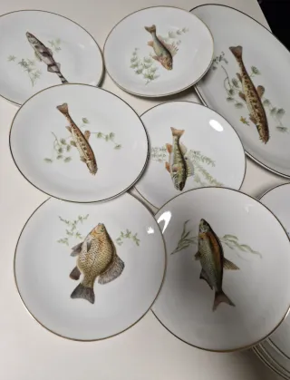 Servizio 13 piatti da pesce Bavaria