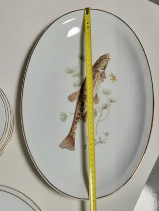 Servizio 13 piatti da pesce Bavaria