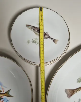 Servizio 13 piatti da pesce Bavaria