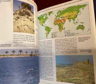 EL AGUA. RECURSO NECESARIO PARA LA VIDA.