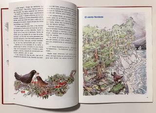 CUENTOS ”CHICOS” - EDITORIAL EVEREST 1983