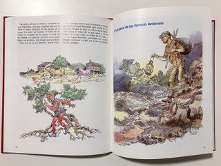 CUENTOS ”CHICOS” - EDITORIAL EVEREST 1983