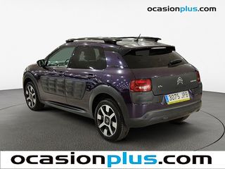 Citroen C4 Cactus BlueHDi 100 Shine 73 kW (100 CV)