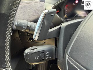 DS DS 3 Crossback INES DE LA FRESSANGE BlueHDi 96 kW Auto Ines de la Fressange