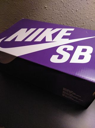 Zapatillas Nike Nyjah 3