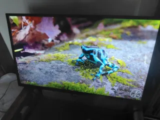 TV Negra con Pantalla de Paisaje