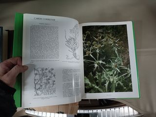 Plantas medicinales - Pío Font Quer. ERT