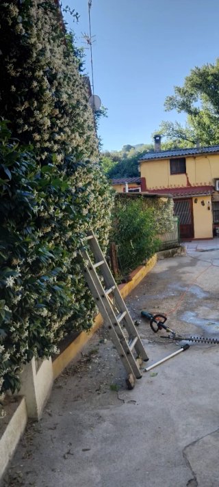jardinero profesional  mocha experiencia