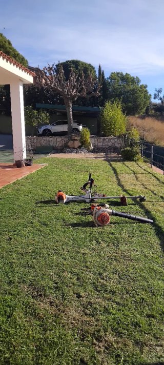 jardinero profesional  mocha experiencia