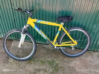 Bicicleta Montaña