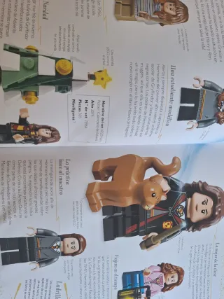 LEGO® Harry Potter. Tesoro mágico: (incluye una...