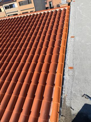 Trabajaos de constricción profesional