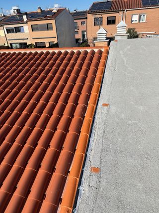 Trabajaos de constricción profesional