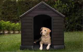 Caseta Perro Resina Keter Marrón/Negro