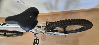 Bicicleta Brincobike Roda 20