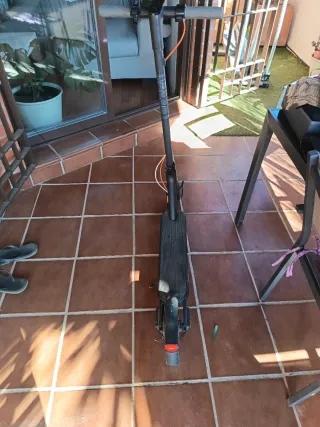 Patinete Eléctrico Xiaomi