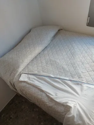 Camisa fallero talla S/M