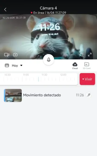 4 Cámaras Yi Outdoor