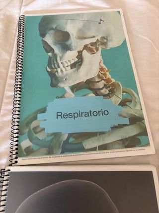 Apuntes 1 cuatri de fisioterapia