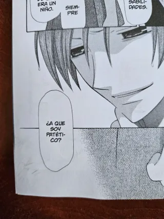 Fruits Basket Ed. coleccionista 11