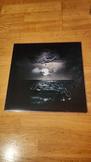 WOODEN VEINS - In Finitude LP Vinilo Verde Marble