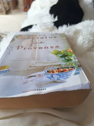 Secretos en la Provenza (Spanish Edition)
