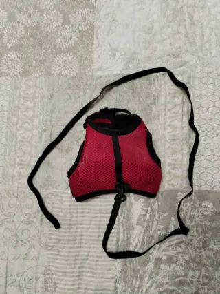Arnés para conejo/a  pequeño.