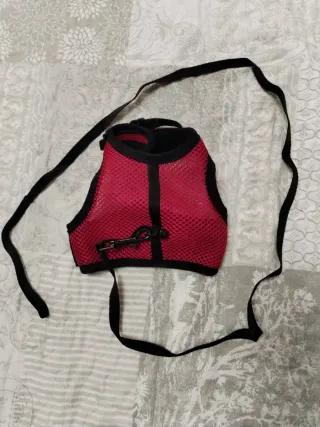 Arnés para conejo/a  pequeño.