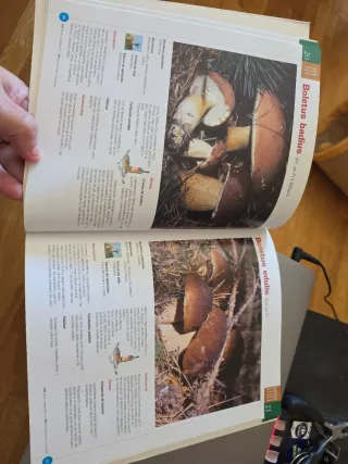 Cien setas comestibles y cien recetas para coci...