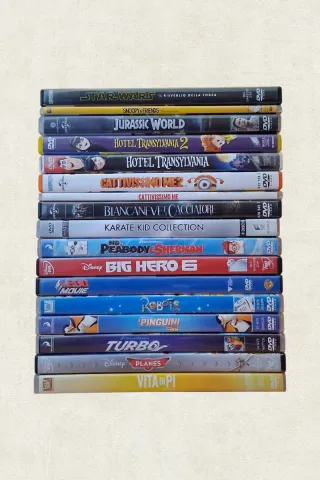 Lotto 17 DVD Film Vari Generi