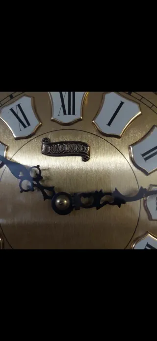 Reloj de Pared Radiant Tempus Fugit