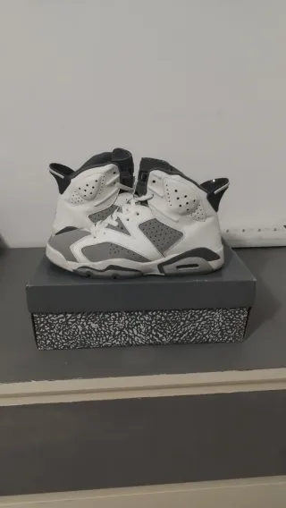 Jordan 6 Cool Grey Zapatillas