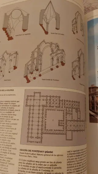 Colección libros arquitectura